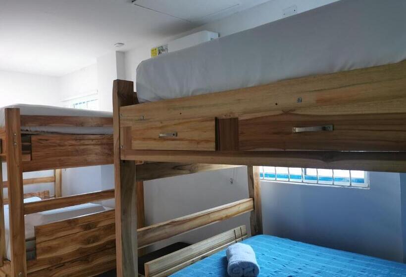 هتل Hostal Casa Roma