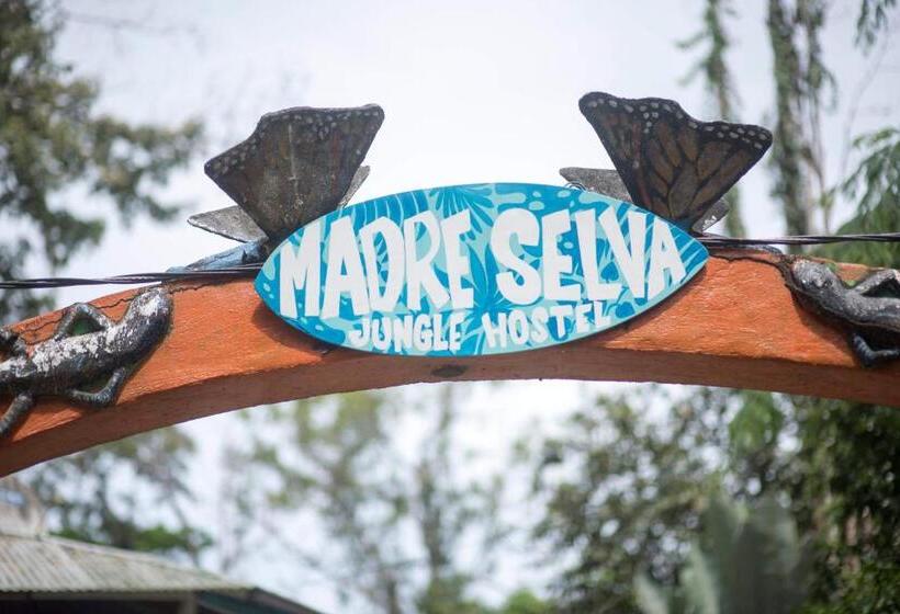 Madre Selva Hostel