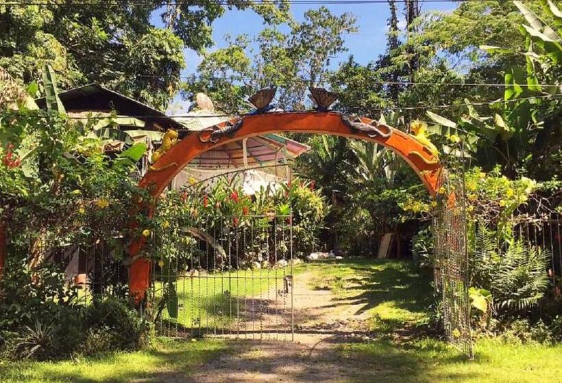 Madre Selva Hostel