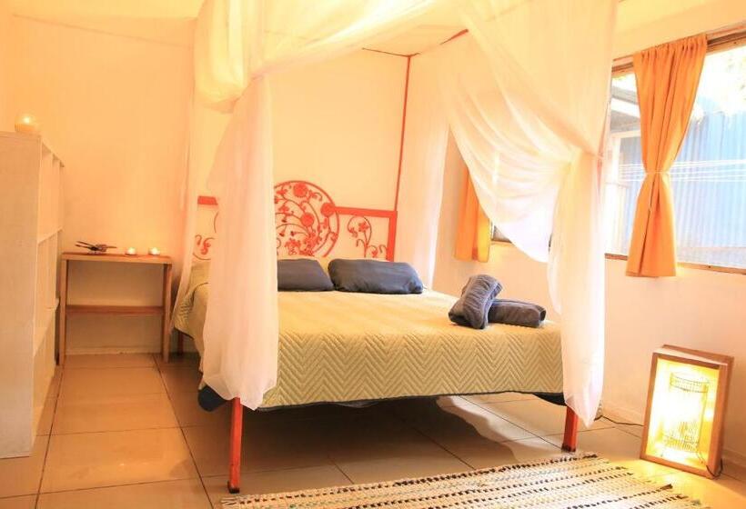 Madre Selva Hostel