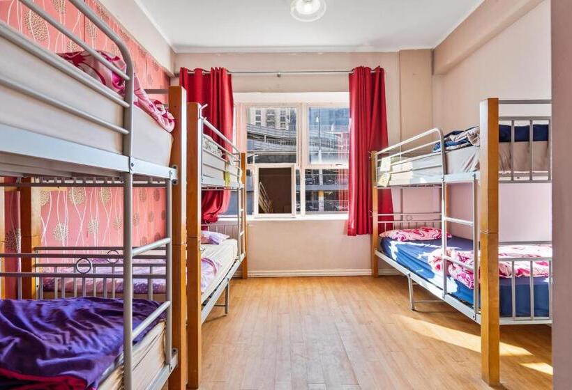 هاستل Frienz Backpacker