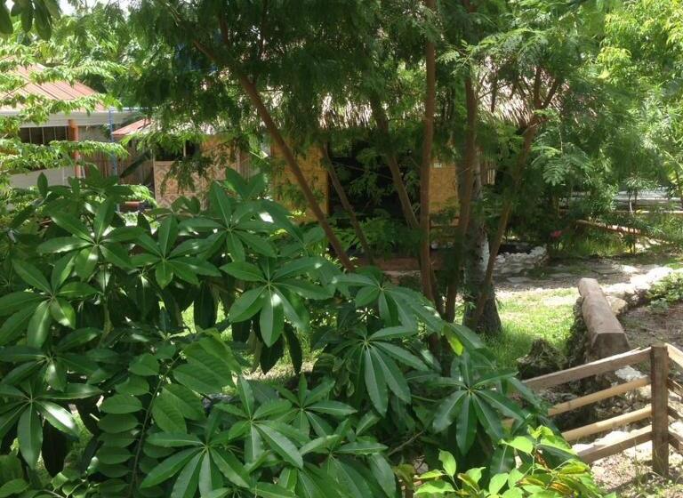 تختخواب و صبحانه Liwayway Sa Bohol Pamilacan Resort
