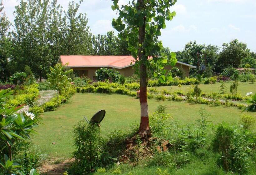 Click Resort Corbett Tiger Den