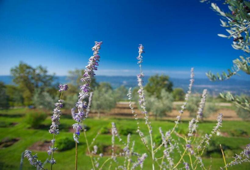 Отель Odina Agriturismo