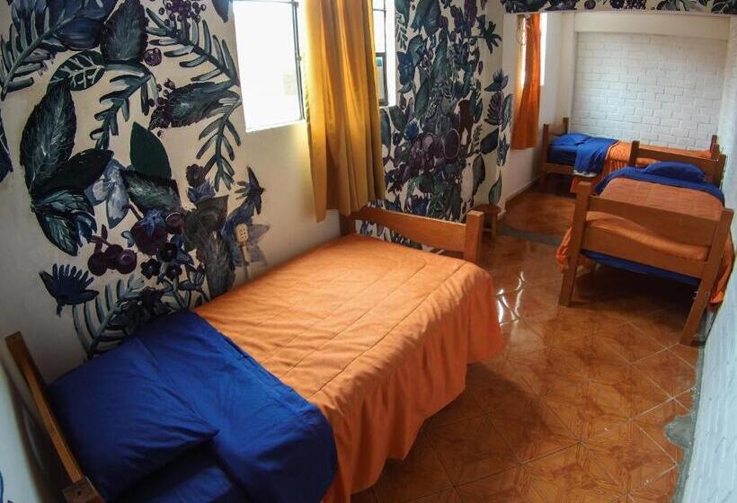 پانسیون Aldos Guest House