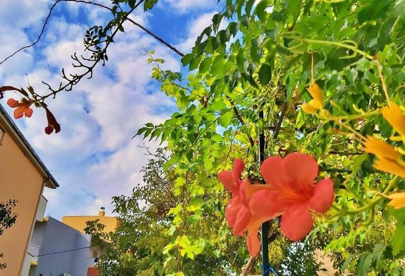 پانسیون Apartments Nemira