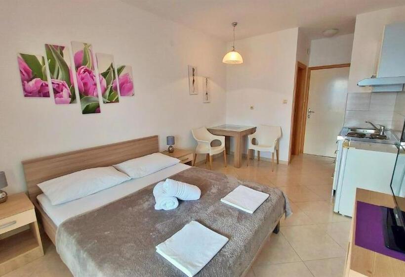 پانسیون Apartments Nemira