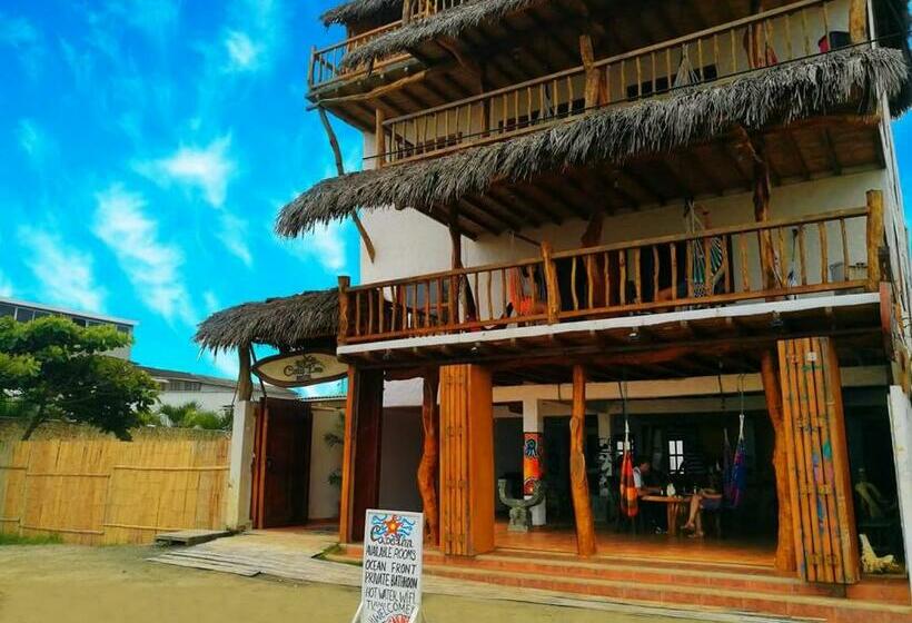 פנסיון Cocoa Inn Hostal