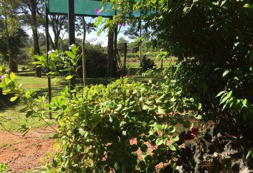 پانسیون Iguazu Apart Hostel