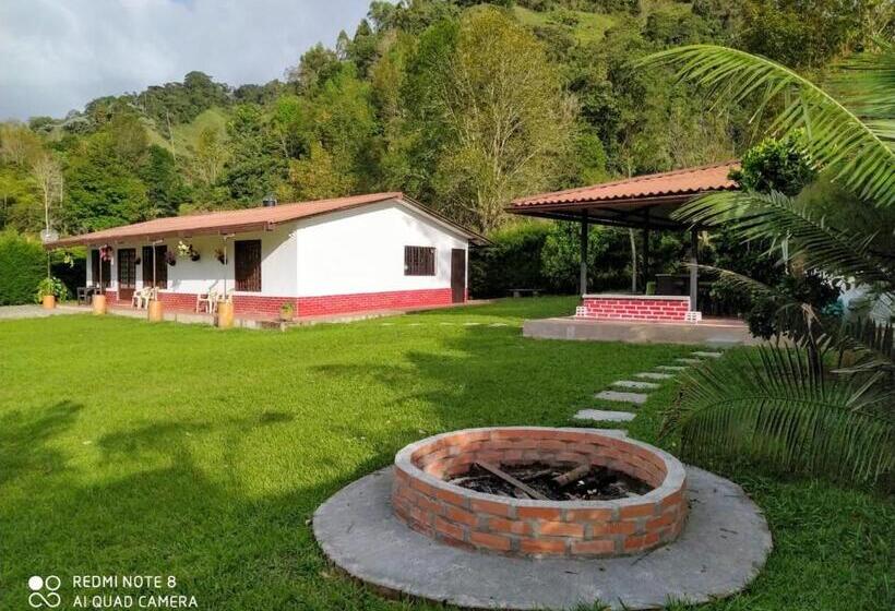 پانسیون Paraiso Cocora