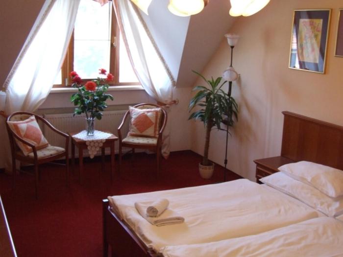 펜션 Penzion 77   Garni