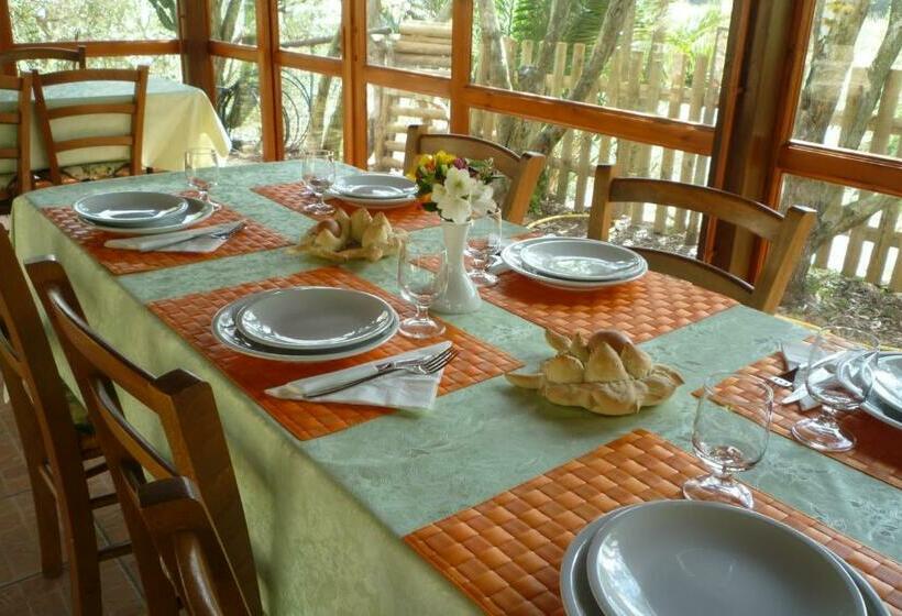 Su Trabi B&b