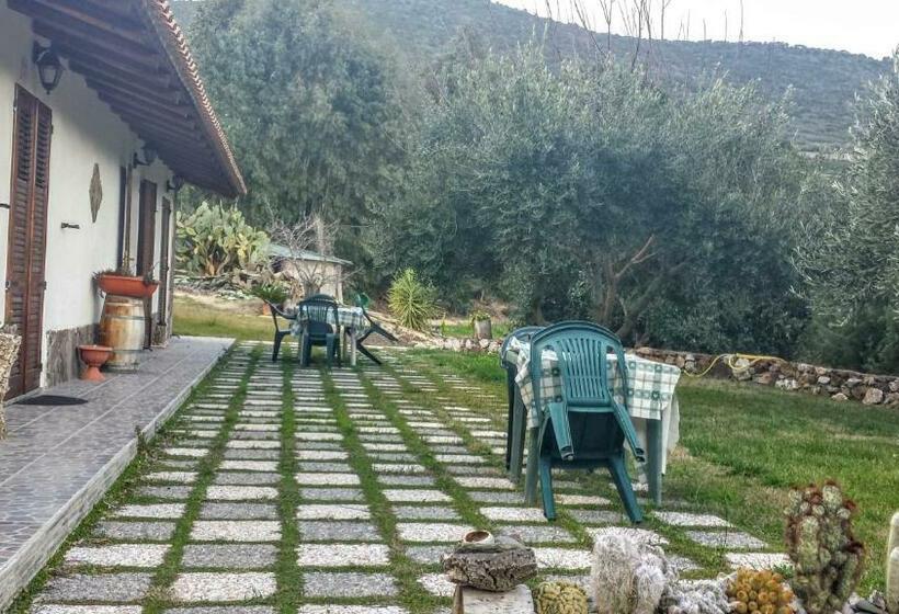 Su Trabi B&b