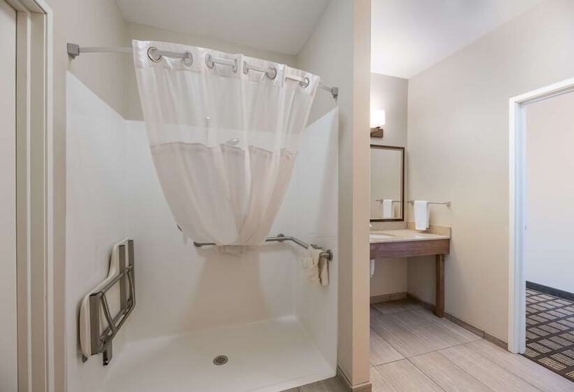 בית מלון כפרי Best Western North Bryant Inn San Angelo