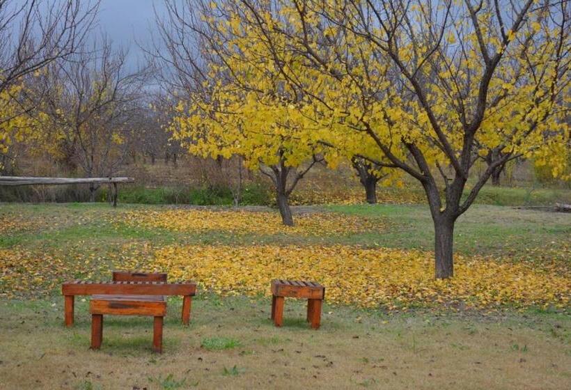 فندق Finca La Celestita