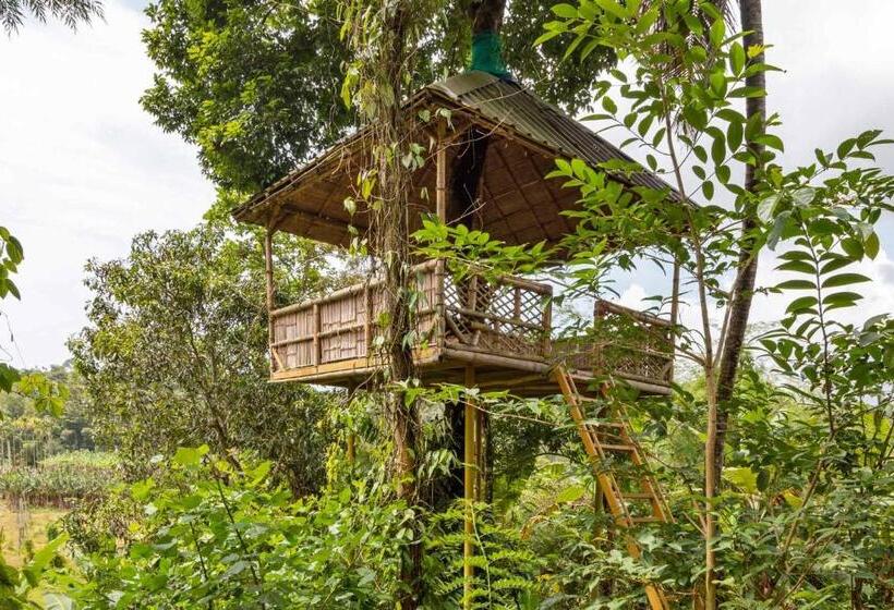 منتجع Stayvista At Serene Valley With Bonfire & Badminton