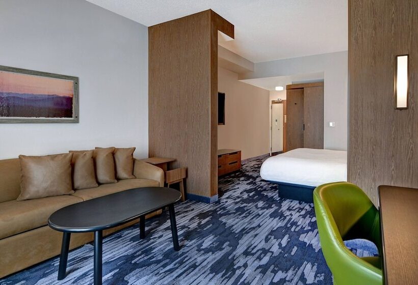ホテル Fairfield Inn & Suites By Marriott Selinsgrove