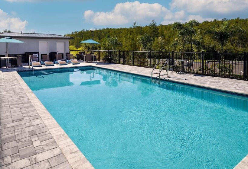 فندق Hampton Inn Kissimmee North