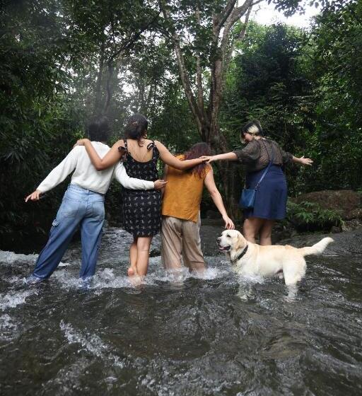 ペンション Vanilla County Heritage Plantation Bungalow