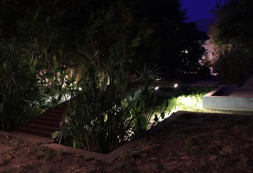 Allegra Dalila Casa Hotel Arte