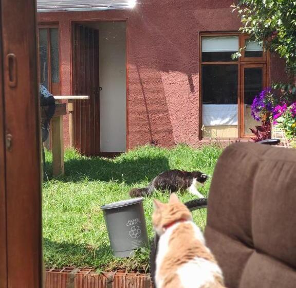 تختخواب و صبحانه Acogedor Hostal Usaquen La Parada Del Tren