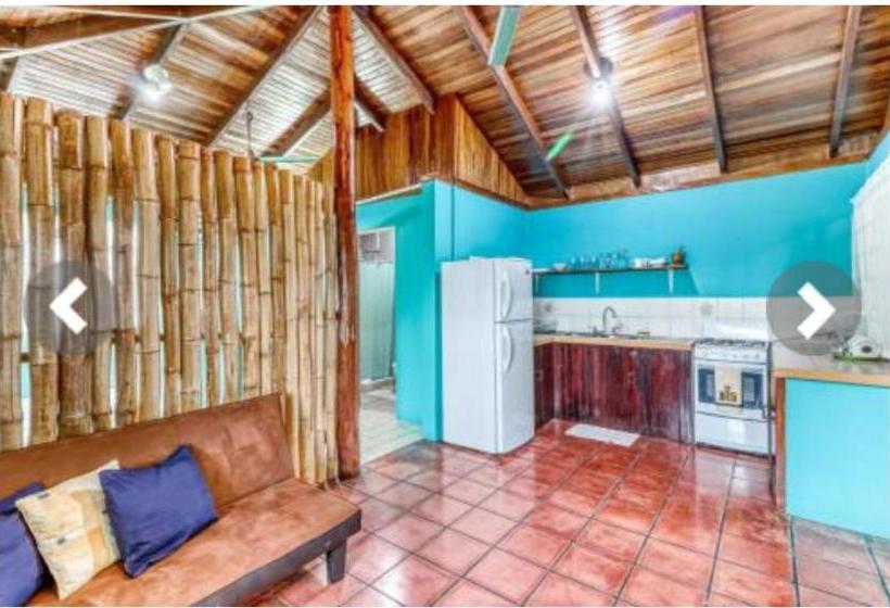 تختخواب و صبحانه Most Animal Friendly Place On Earth Casa Geraldo