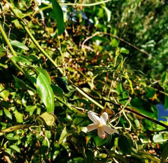 تختخواب و صبحانه La Máquina Del Tiempo