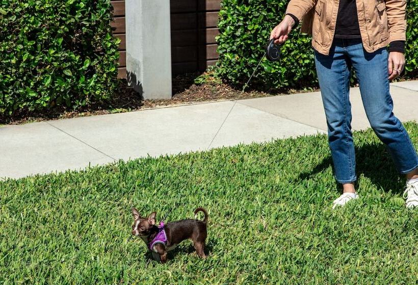 Fotos del hotel Element Orlando International Drive:  14