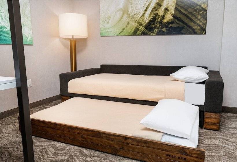 هتل Springhill Suites By Marriott Irvine Lake Forest
