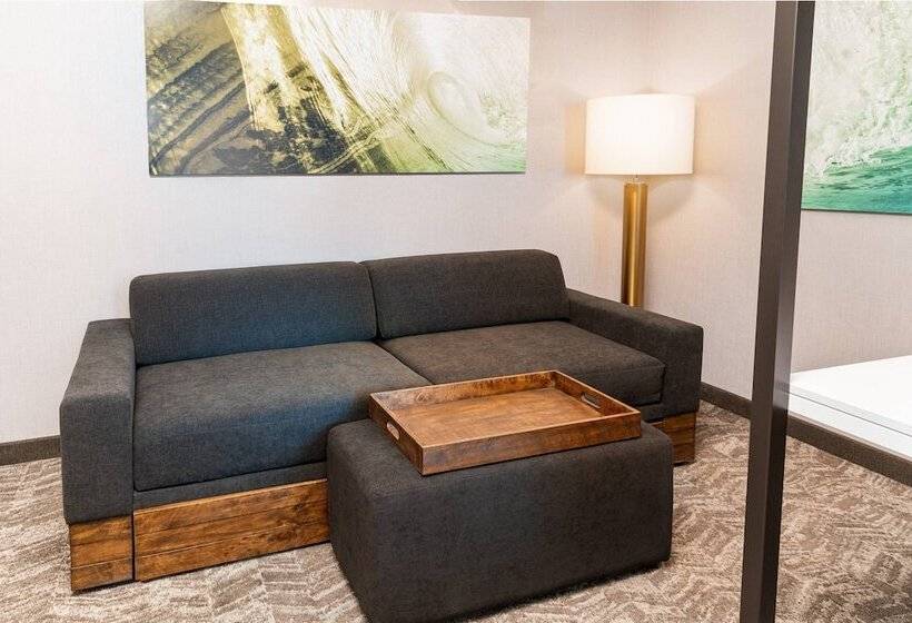 هتل Springhill Suites By Marriott Irvine Lake Forest