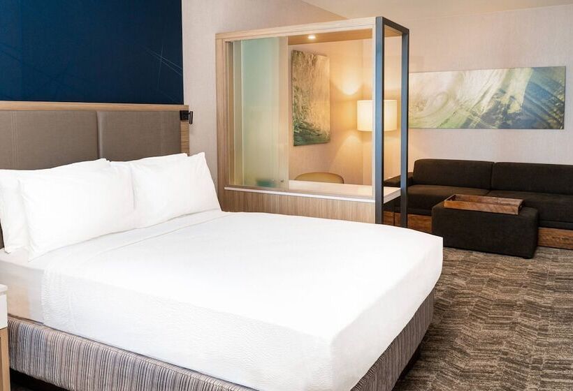 هتل Springhill Suites By Marriott Irvine Lake Forest