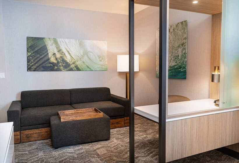 هتل Springhill Suites By Marriott Irvine Lake Forest