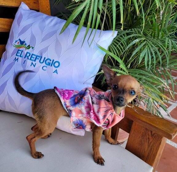 پانسیون El Refugio Minca