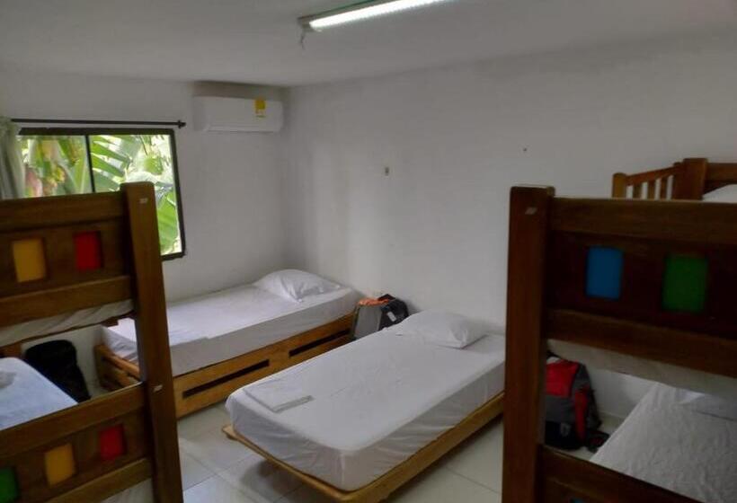 پانسیون Hostal Baruch