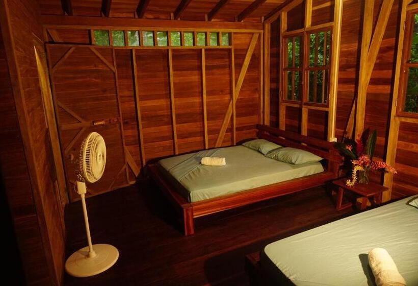 تختخواب و صبحانه La Tarima Del Colibri Ecolodge