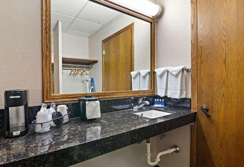 هتل Rodeway Inn