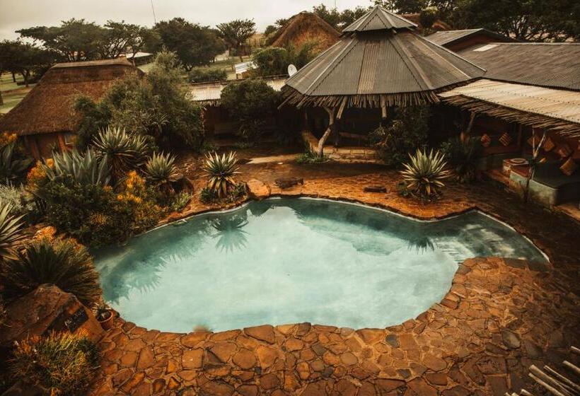 فندق صغير Amphitheatre Backpackers Lodge