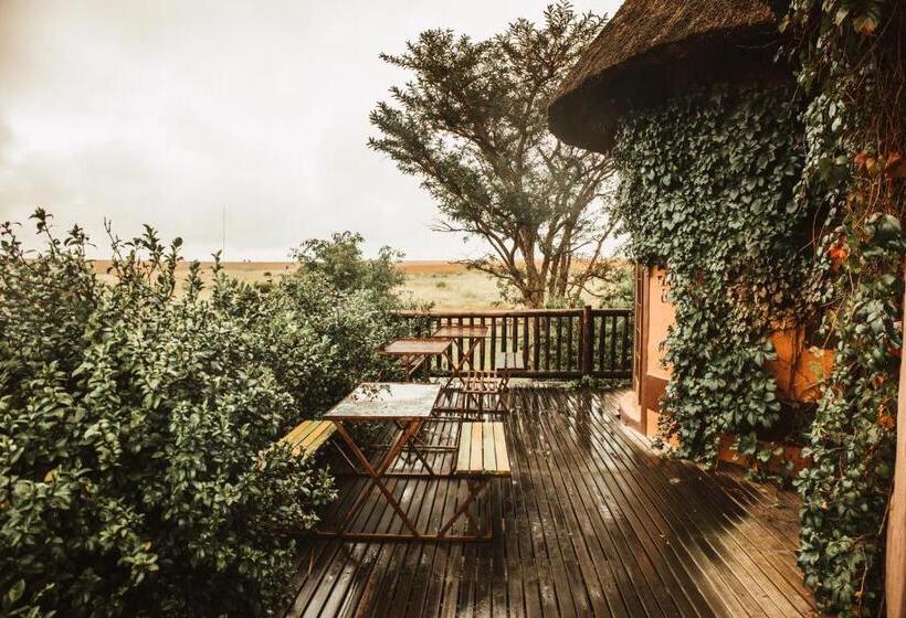 فندق صغير Amphitheatre Backpackers Lodge