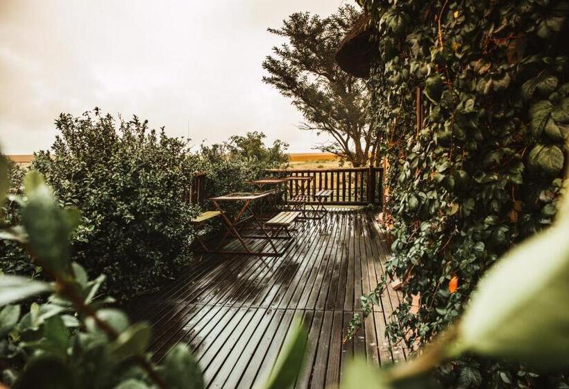 فندق صغير Amphitheatre Backpackers Lodge