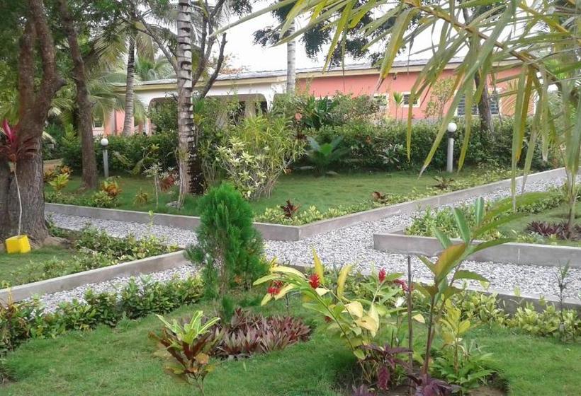 مبيت وإفطار Twitter Paradise