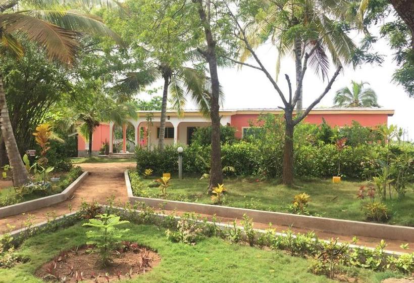 مبيت وإفطار Twitter Paradise