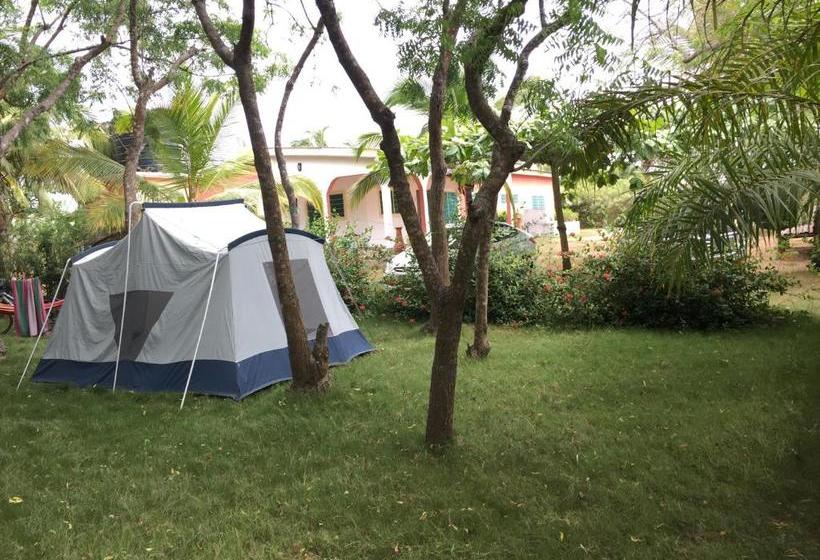 مبيت وإفطار Twitter Paradise