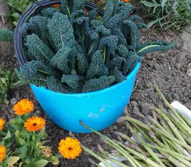 בית מלון כפרי La Tana Del Picchio