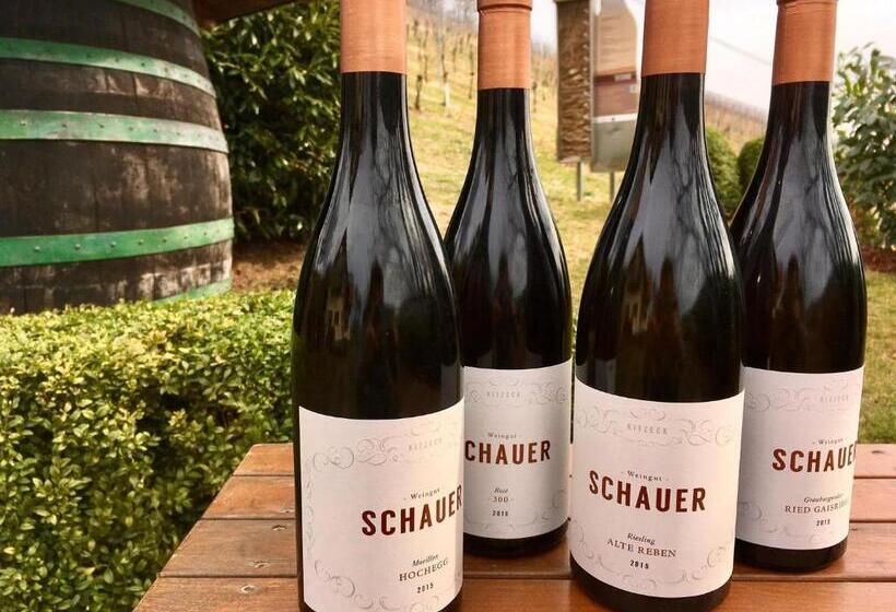 酒店 Weingut Schauer