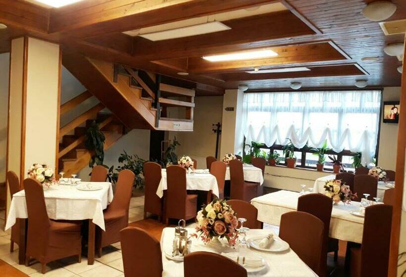 Motel Din Darste