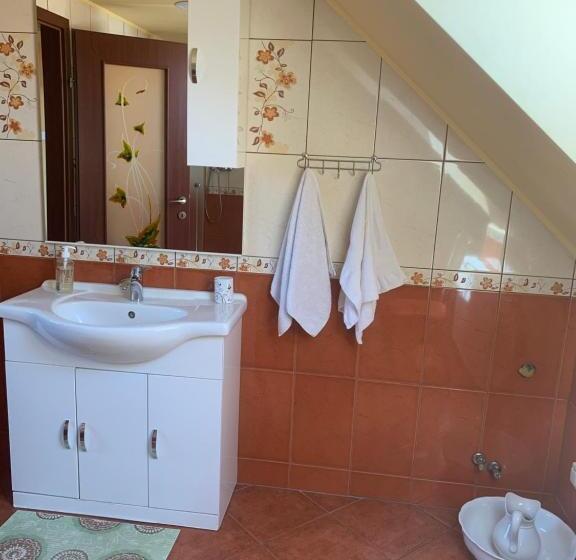 Пансион Casa Lenke
