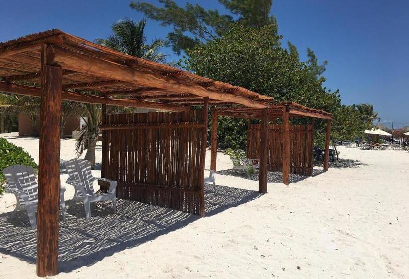 بنسيون El Secreto Ocean Front Cabin