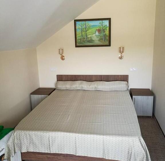 بنسيون Vila Teju Valeni