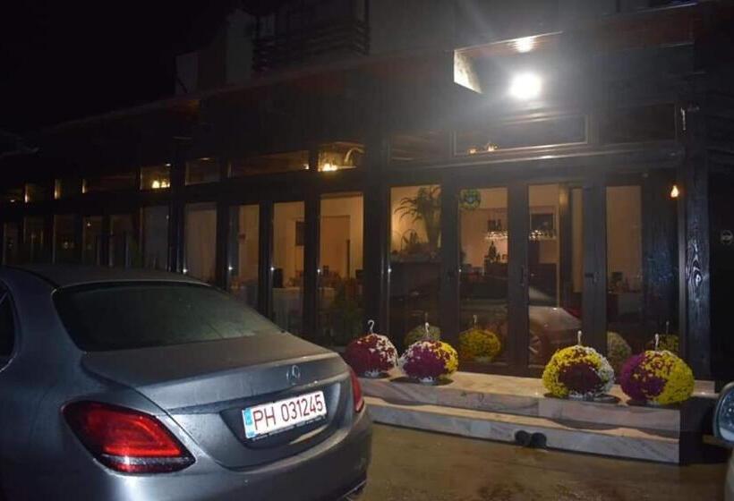 بنسيون Vila Teju Valeni