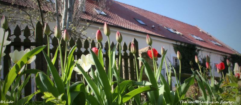 호텔 Auberge De Provence